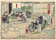 Producing Uji Tea in Yamashiro Province, figure 2 from the series Dai Nippon Bussan Zue (Products of Greater Japan)